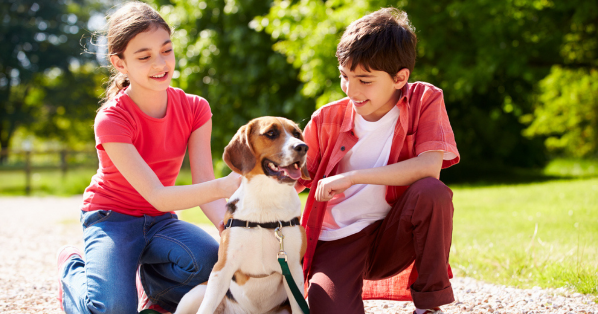 Children playing outdoors with their dog which might have a ringworm infection